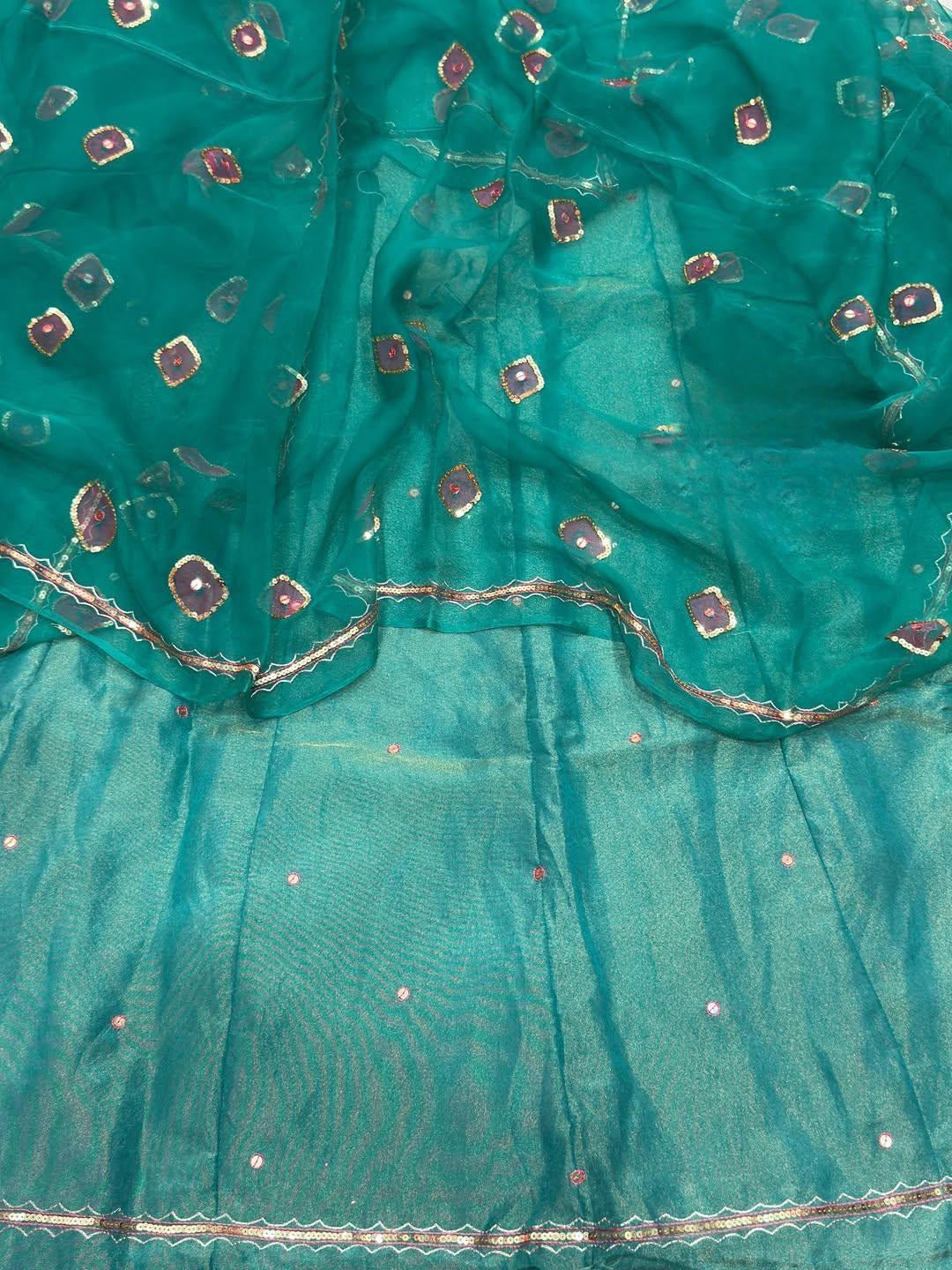 Handwork Rajasthani Poshak with four-side Odhna border
