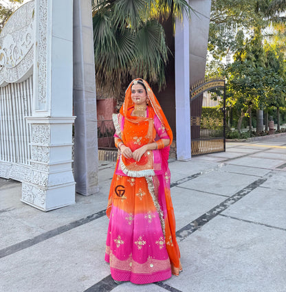 Elegant Partywear Rajasthani poshak