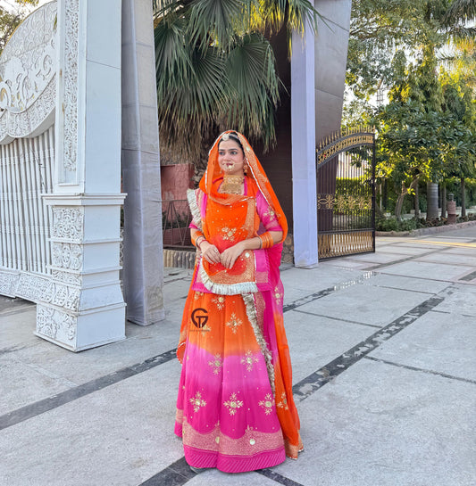 Elegant Partywear Rajasthani poshak