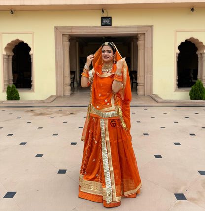 Elegant Partywear Rajasthani poshak