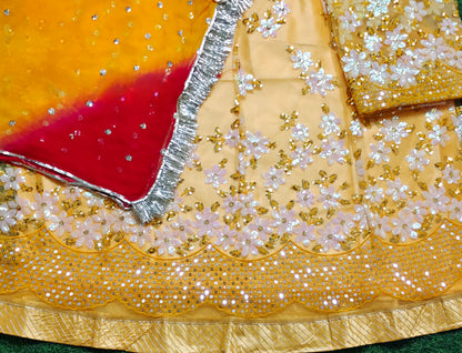 Elegant Rajasthani Poshak Partywear | Royal Net Lehenga with Odhani & Gota Work