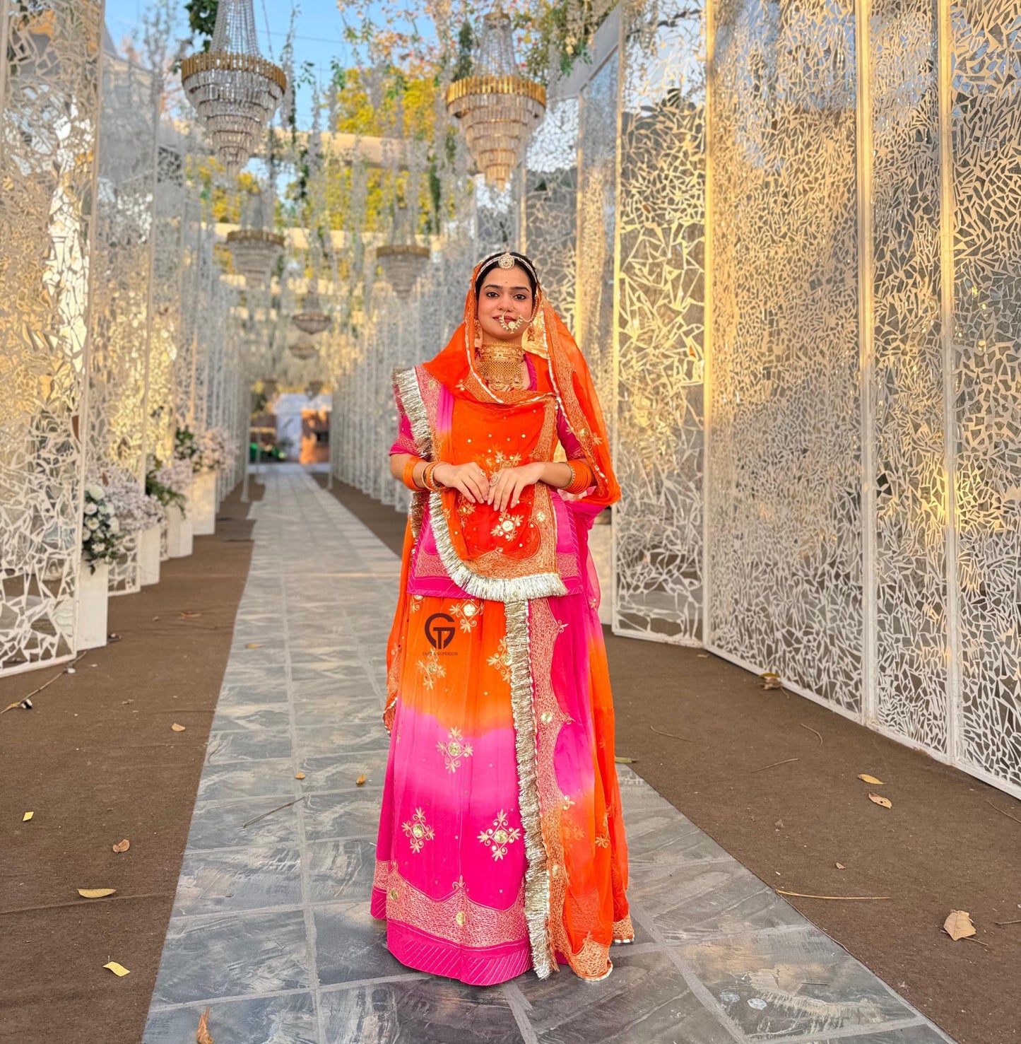 Elegant Partywear Rajasthani poshak