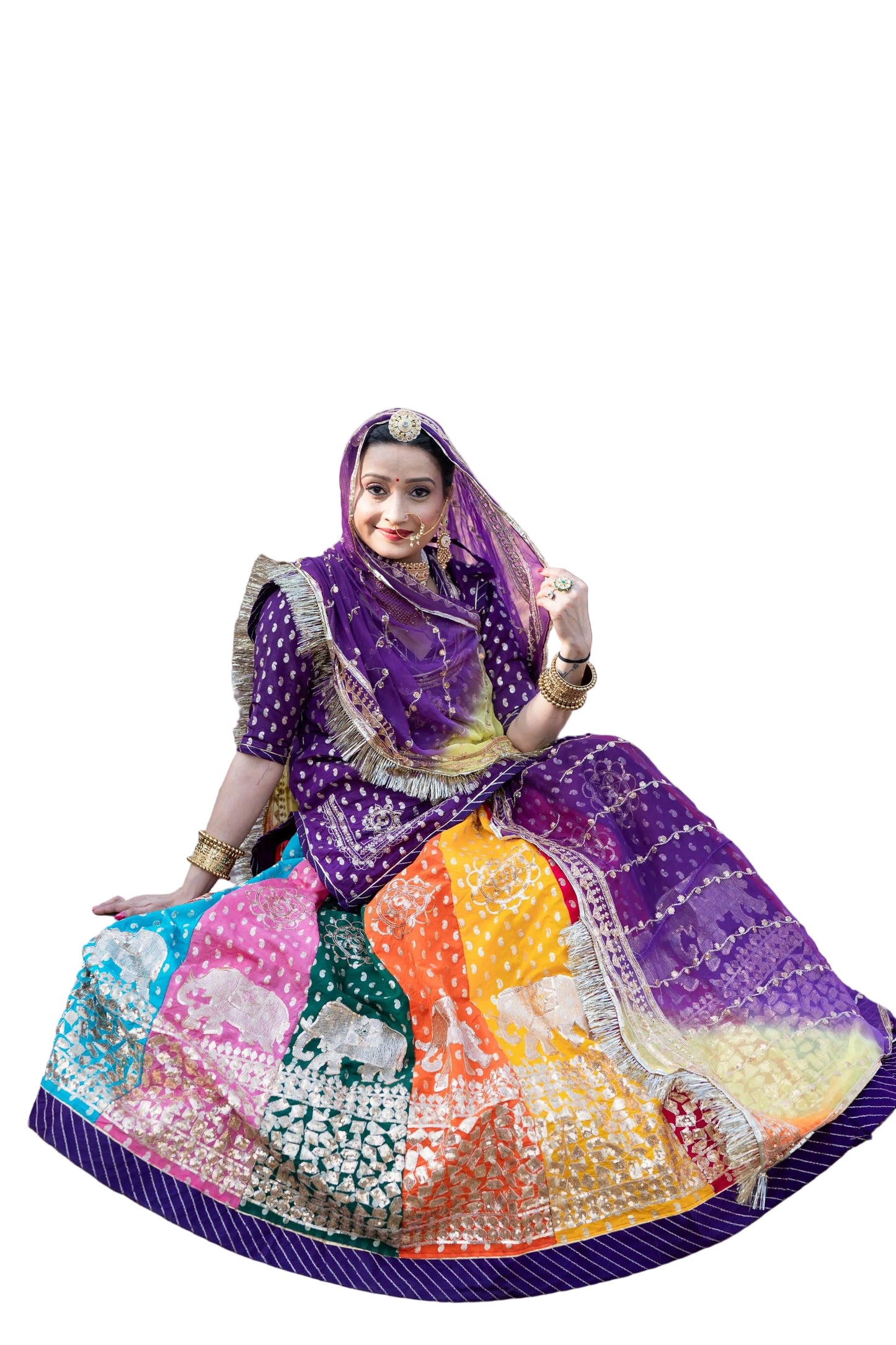 Traditional Multicolour  Royal Elephant work Rajasthani Poshak – Banarasi 32 Kali Lehenga with Zari & Sequin Work