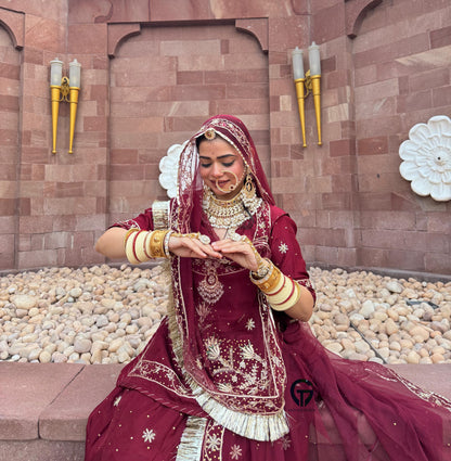 Elegant Partywear Rajasthani poshak