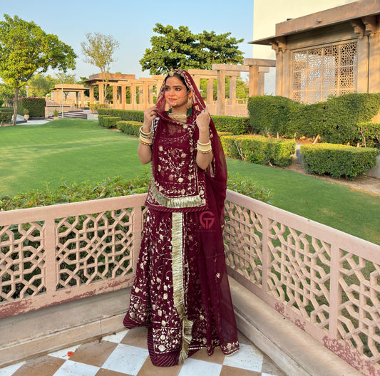 PITRAN Work Zari Aree Elegant Rajasthani poshak