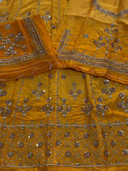 Rajasthani Splendor - Elegant Handwork Poshak