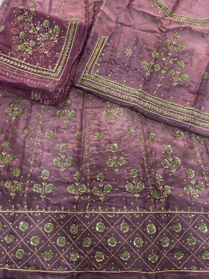 Rajasthani Splendor - Elegant Handwork Poshak