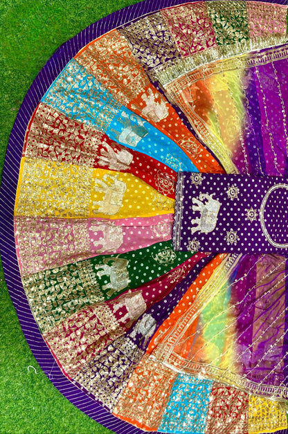 Traditional Multicolour  Royal Elephant work Rajasthani Poshak – Banarasi 32 Kali Lehenga with Zari & Sequin Work