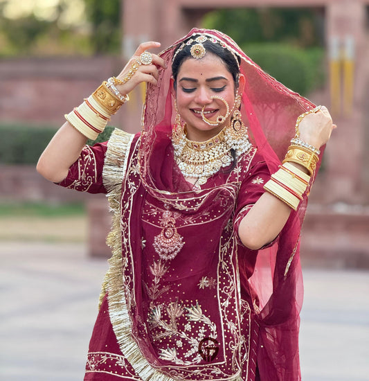 Elegant Partywear Rajasthani poshak