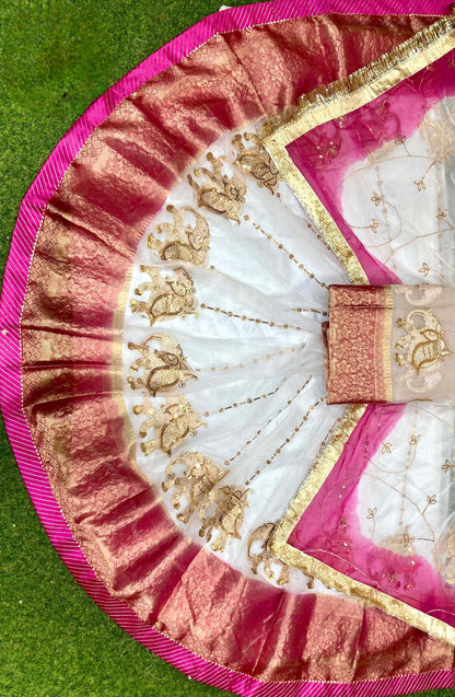 Rajwadi Tissue Organza Rajasthani Poshak – 4 Mtr Gher with Banarasi Border & Copper Sequin Work